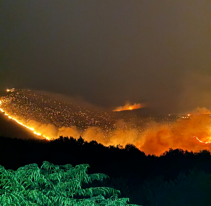 Požar između Stoca i Ljubinja, ugrožene kuće, obustavljen promet